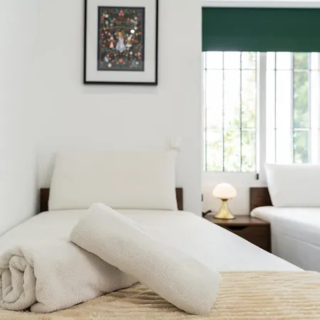Monko Ciudad Comfort