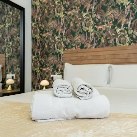 Monko Ciudad Comfort *